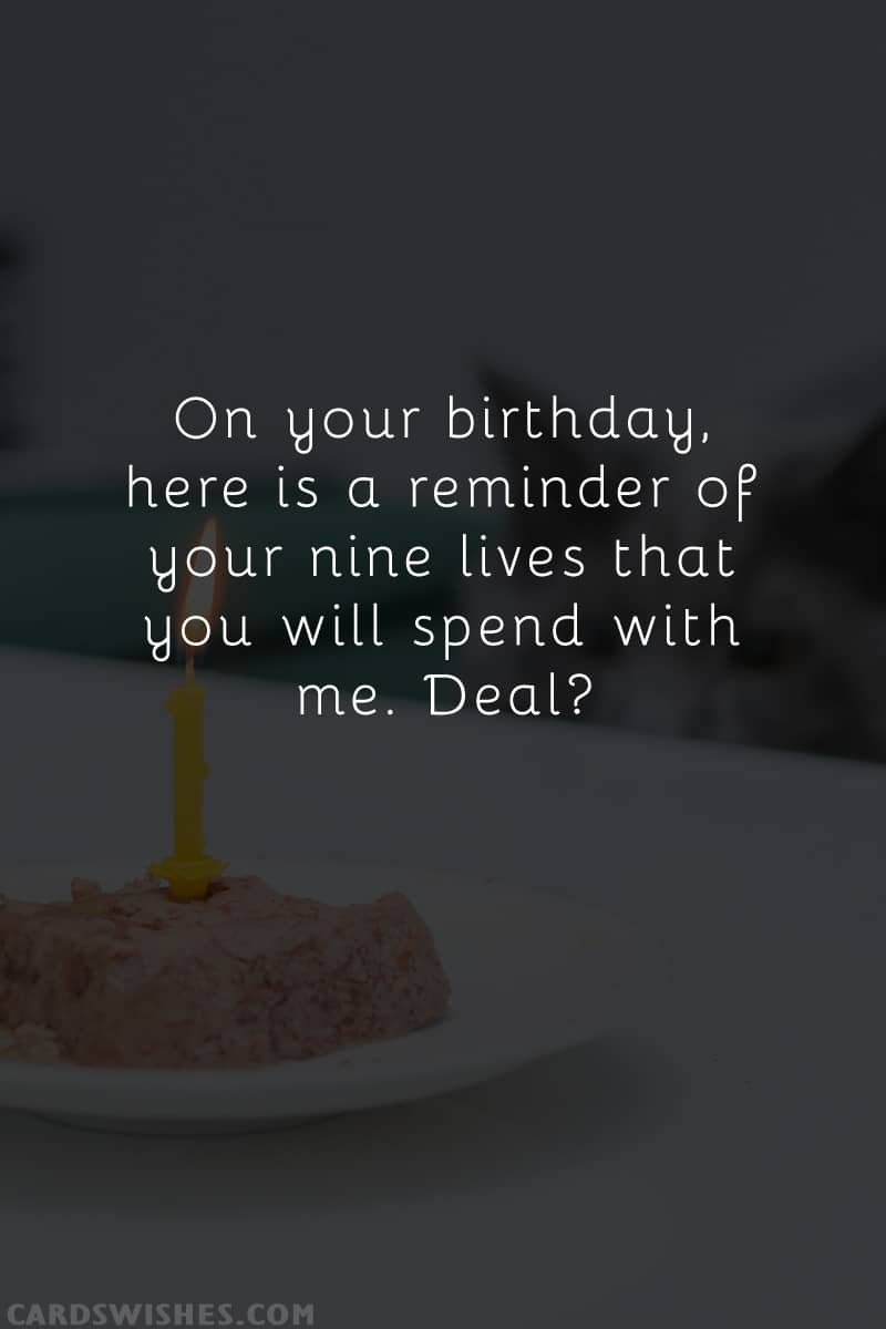 On your birthday, here is a reminder of your nine lives that you will spend with me. Deal?