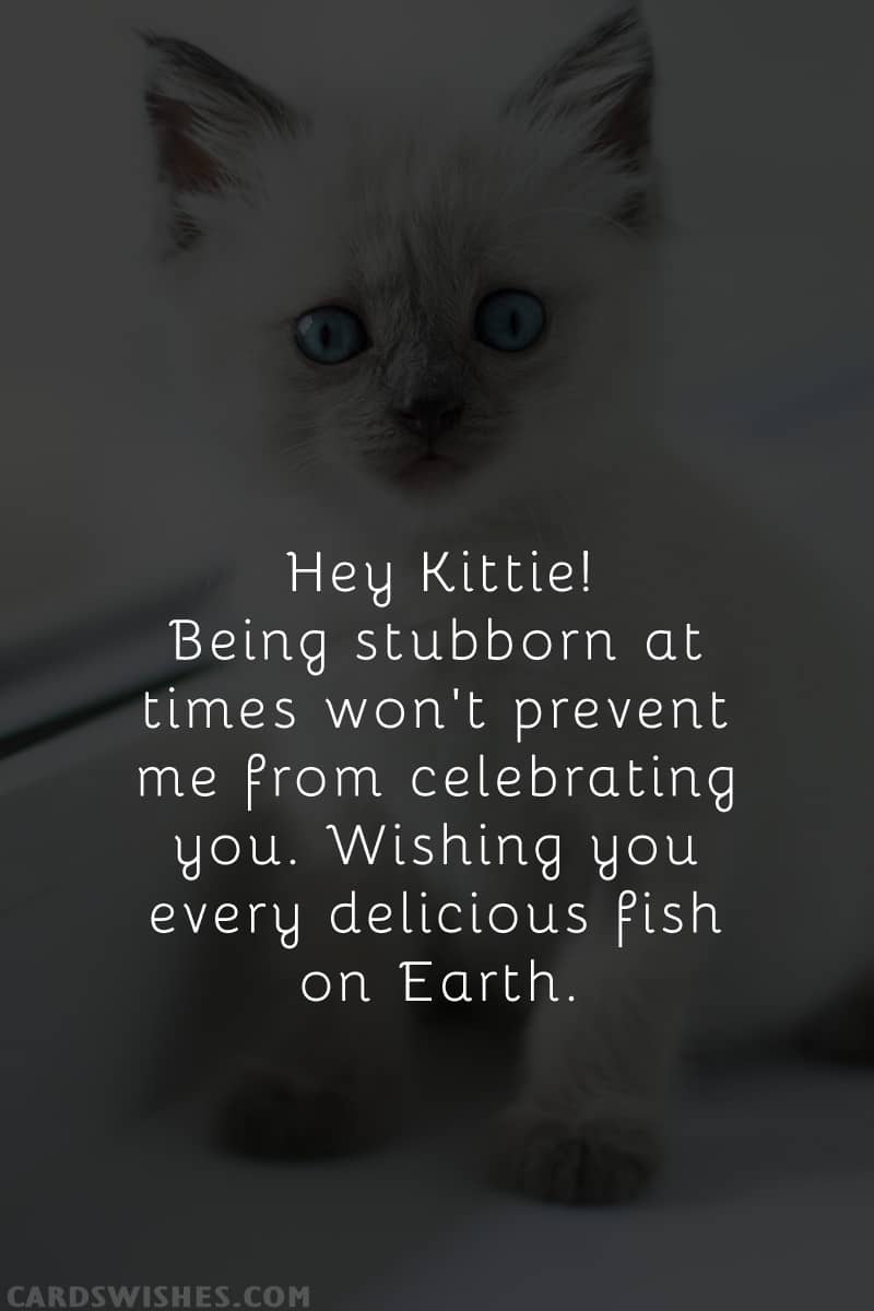 Hey Kittie! Being stubborn at times won't prevent me from celebrating you. Wishing you every delicious fish on Earth