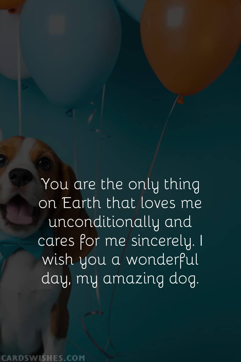 You are the only thing on Earth that loves me unconditionally and cares for me sincerely. I wish you a wonderful day, my amazing dog