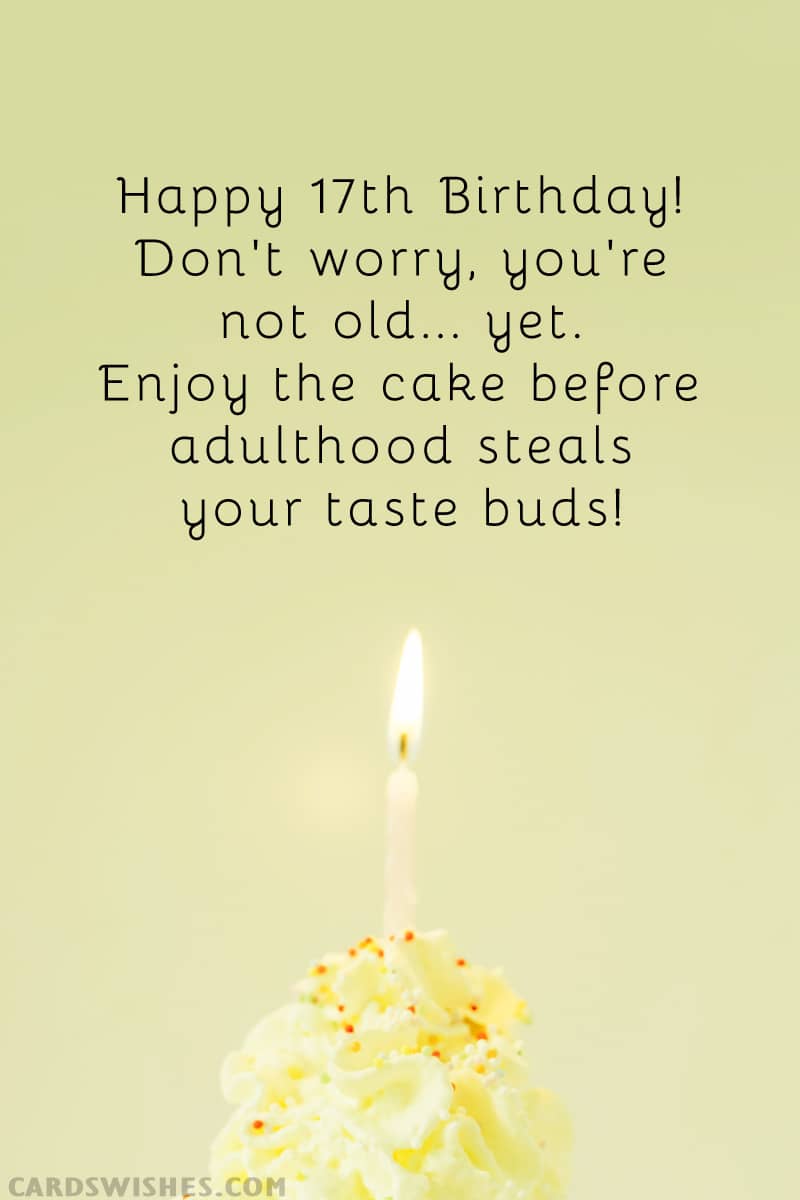 Happy 17th birthday! Don't worry, you're not old... yet. Enjoy the cake before adulthood steals your taste buds!
