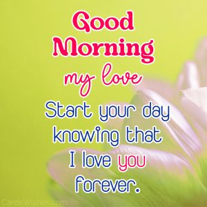 Top 60 Good Morning Love Messages and Quotes
