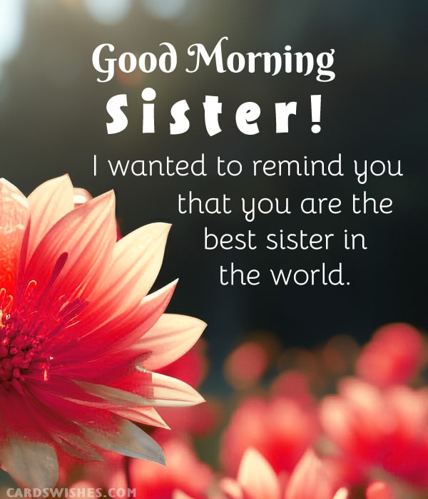 Good Morning, Sister! I wanted to remind you that you are the best sister in the world.