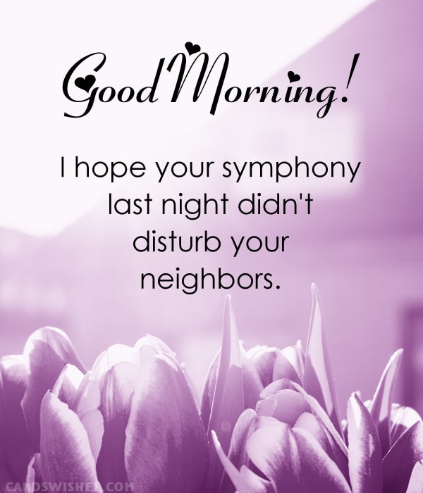Good Morning! I hope your symphony last night didn't disturb your neighbors