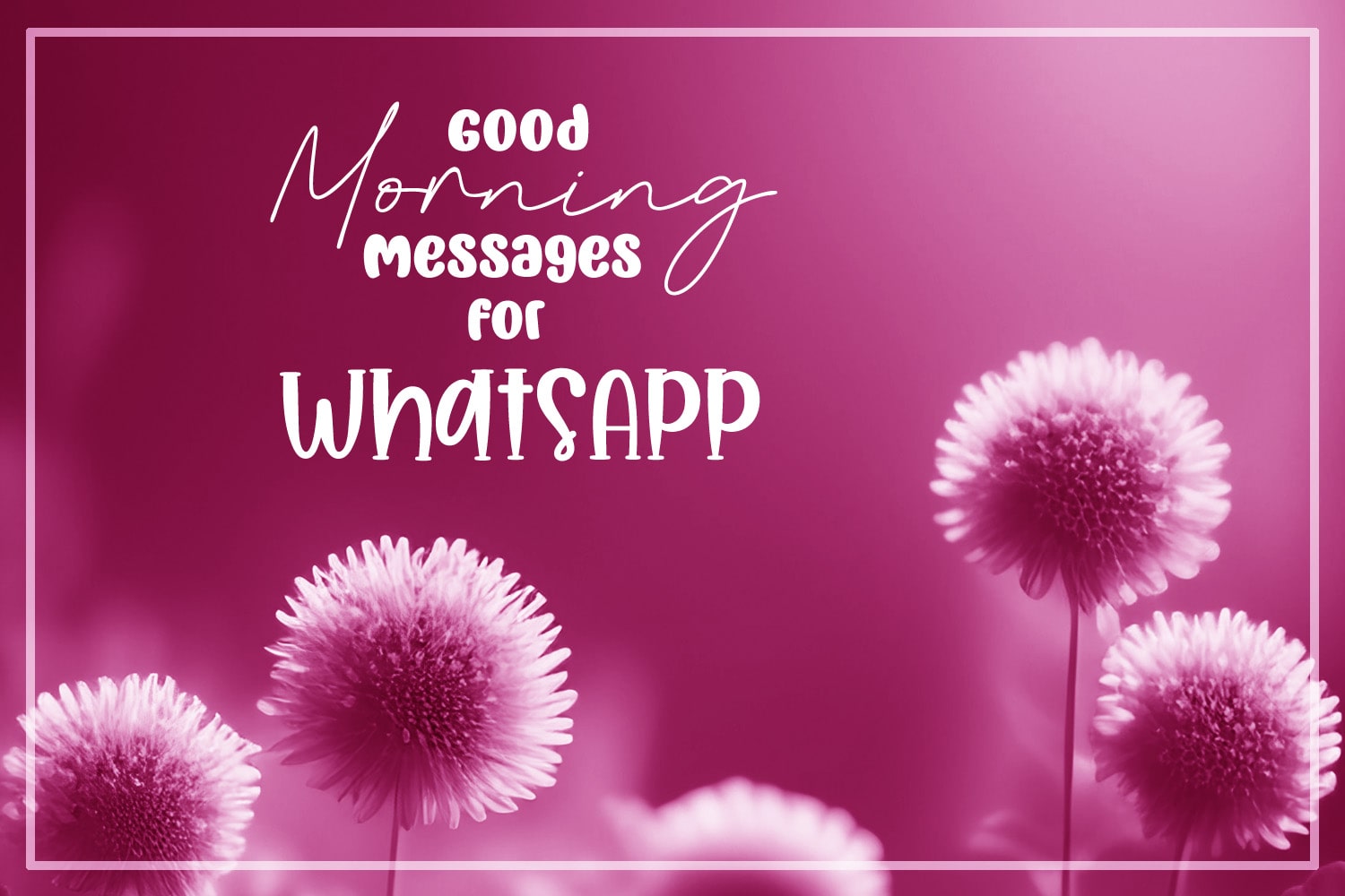 Good Morning Messages for WhatsApp