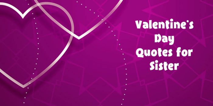 20 Best Valentines Quotes for Sister