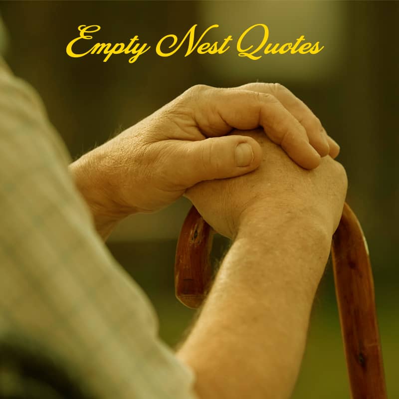 Top 20 Empty Nest Quotes For Inspiration