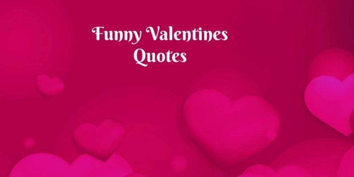 Top 20 Funny Valentines Quotes