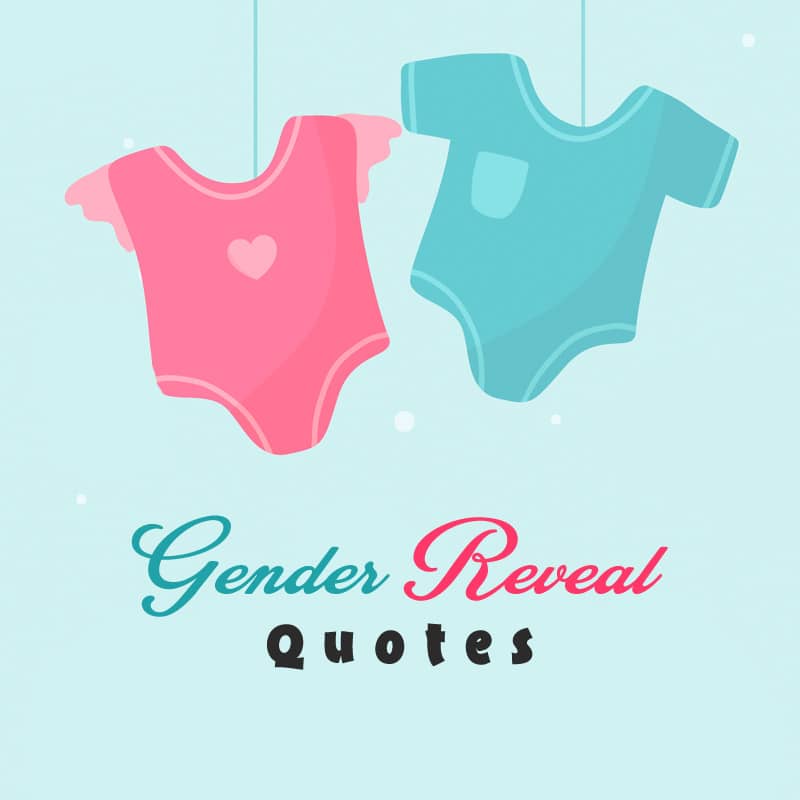 Top 40 Gender Reveal Quotes And Instagram Captions 